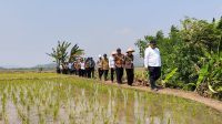 Sumber Gambar : https://jatengprov.go.id/beritadaerah/kementan-salurkan-bantuan-alsintan-dan-pompa-air-di-kendal/