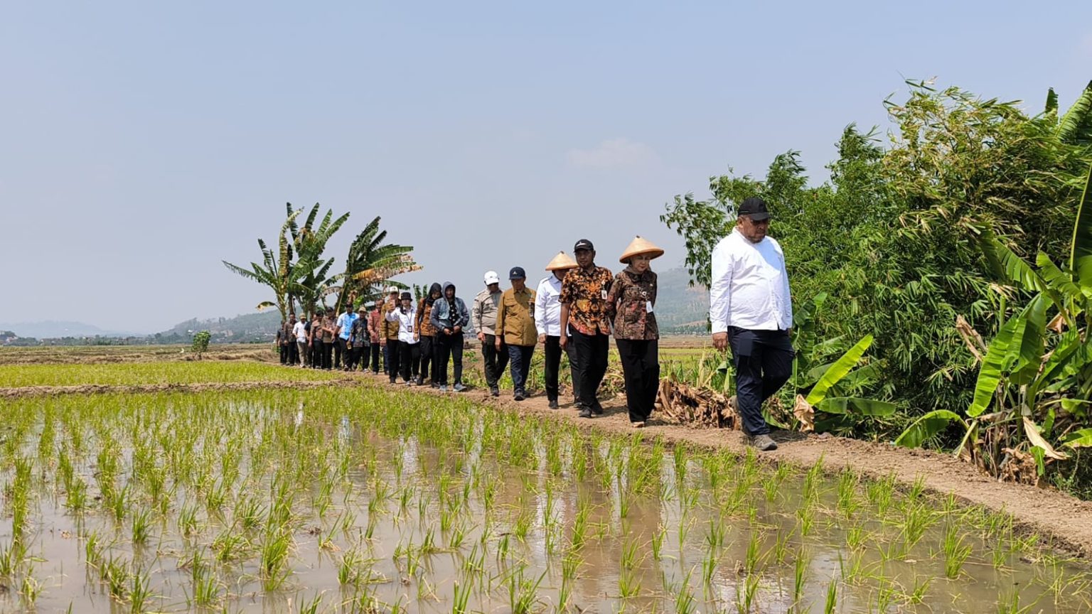 Sumber Gambar : https://jatengprov.go.id/beritadaerah/kementan-salurkan-bantuan-alsintan-dan-pompa-air-di-kendal/