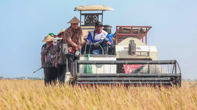 Sumber Gambar : https://jatengprov.go.id/publik/produksi-padi-jateng-capai-669-juta-ton-ahmad-luthfi-optimistis-bisa-penuhi-target/
